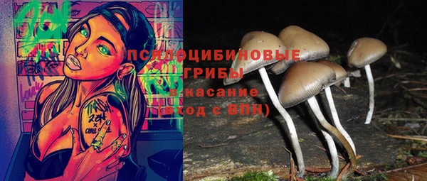 MESCALINE Бородино